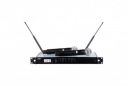 Dual Channel Handheld Digital Wireless Microphone System