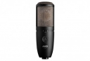 HIGH-PERFORMANCE DUAL-CAPSULE TRUE CONDENSER MICROPHONE