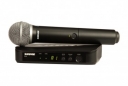Handheld Wireless System