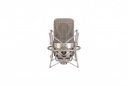 Microphone