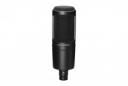 Microphone