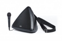 Portable Speaker