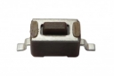Power/Mute Switch