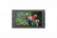 SmartView HD