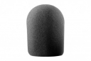 Windscreen