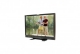 Multi-Format LCD Monitor